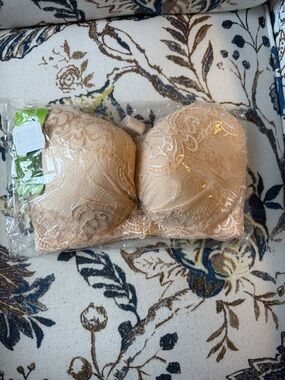 Strapless Lace Bustier Bra - Nude